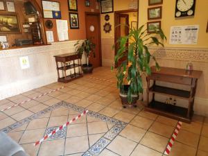 阿亚蒙特里亚维拉酒店的客房铺有瓷砖地板,配有桌子和植物