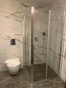 拿撒勒塔巴酒店的带淋浴和卫生间的浴室
