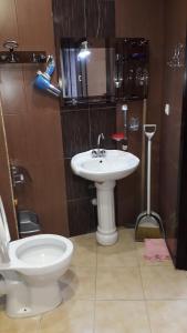 乌雷基Apartment Zhemchuzhina Ureki的浴室配有白色卫生间和盥洗盆。
