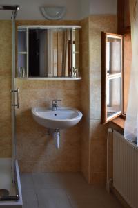 克塞洛庞特文德哈兹旅馆的一间带水槽和镜子的浴室