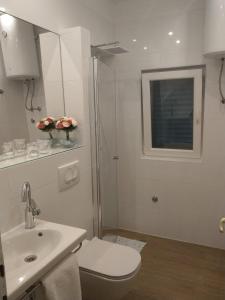 罗佐瓦克Apartment Slavica的浴室配有卫生间、盥洗盆和淋浴。