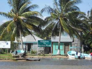 珀拉什奇亚Chabil Mar Villas - Guest Exclusive Boutique Resort的水面上的房子,前面有棕榈树