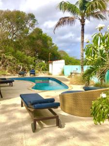 威廉斯塔德库拉索优势公寓酒店的一个带2把躺椅和棕榈树的游泳池