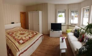 阿尔肯Zum Bachhexje的一间卧室配有一张床、一张沙发和一台电视