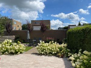 霍赫芬Studio Brinkstraat的庭院里种有白色花的花园