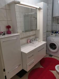 扎达尔Apartman Lučica的一间带水槽和洗衣机的浴室