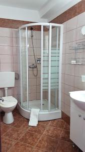 克卢日-纳波卡阿莱克斯酒店的带淋浴、卫生间和盥洗盆的浴室