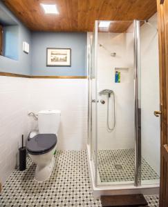 PerÅ‘csÃ©nyPuckó的一间带卫生间和淋浴的浴室