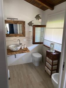 卡拉拉Ca LuBella的一间带水槽、卫生间和镜子的浴室