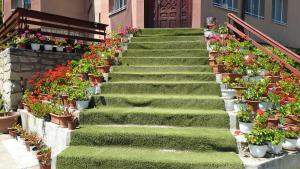 萨拉他蒙蒂鲁Casa Lorena的盆栽花 ⁇ 的楼梯