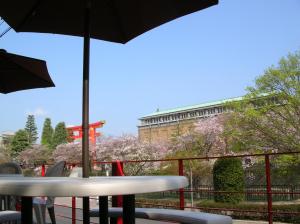 京都京都游客旅馆的大楼前带雨伞的桌子