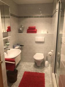 贝希特斯加登奥伯劳菲丽瓦汉京酒店的一间带卫生间和水槽的浴室以及红色地毯。