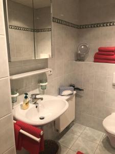 贝希特斯加登奥伯劳菲丽瓦汉京酒店的一间带水槽、镜子和卫生间的浴室