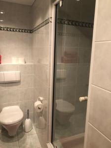 贝希特斯加登奥伯劳菲丽瓦汉京酒店的一间带卫生间和玻璃淋浴间的浴室