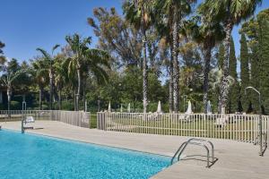 塞维利亚安达卢斯宫希尔肯酒店的一个带围栏和棕榈树的游泳池