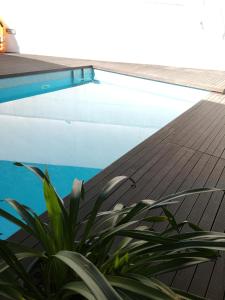 厄米森德Oporto Guesthouse Ermesinde的一座带游泳池和植物的房子
