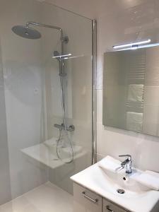 布鲁塞尔Brussel House Basilic的带淋浴、盥洗盆和镜子的浴室