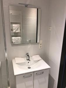 布鲁塞尔Brussel House Basilic的白色的浴室设有水槽和镜子