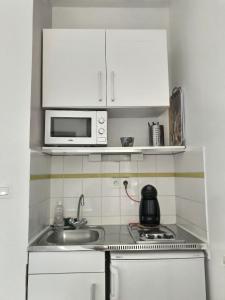 亚眠亚眠中心海珀公寓的一间带水槽和微波炉的小厨房