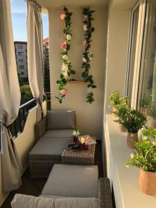 凯尔采Apartament Primavera z sauną的阳台配有两张沙发和鲜花