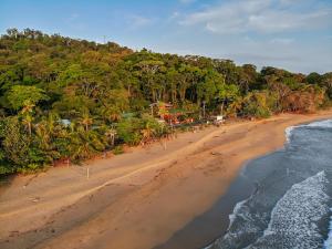 别霍港Finca Chica Lodge & Villas的近海海滩的空中景致