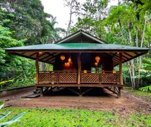 别霍港Finca Chica Lodge & Villas的森林中带绿色屋顶的凉亭