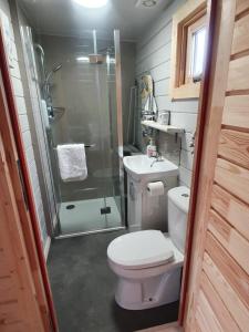波特里An Traigh Cabin的带淋浴、卫生间和盥洗盆的浴室