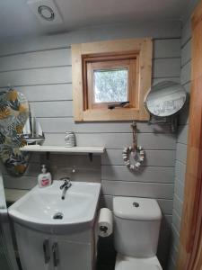 波特里An Traigh Cabin的一间带卫生间和水槽的小浴室
