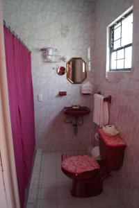 圣胡安特奥蒂瓦坎月神之家酒店的浴室设有红色的淋浴帘、卫生间和水槽