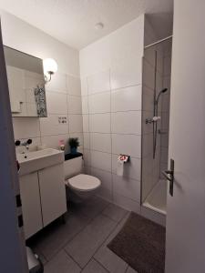 安德马特4P Apartment的浴室配有卫生间、盥洗盆和淋浴。