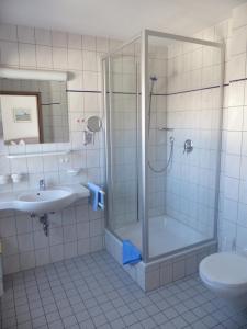 希斯利兹Hotel Gasthof Krapp的带淋浴、盥洗盆和卫生间的浴室