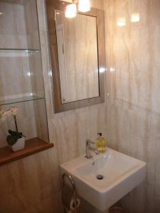 布罗德韦山坡旅馆公寓的浴室设有白色水槽和镜子