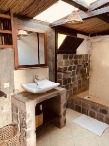 圣玛丽里贝塔利亚酒店的一间带水槽和淋浴的浴室
