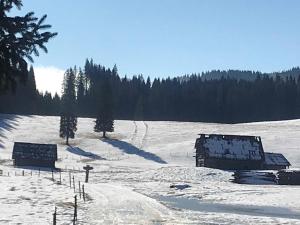 佐尔尼耶戈迪Chalet Stara Jelka Pokljuka的一片雪覆盖的田野,两座小屋和树木