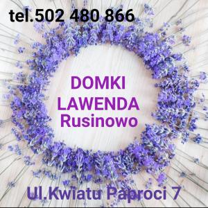 鲁斯诺沃Domki Letniskowe Lawenda的白色背景的紫色花圈