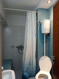 米利纳Violetta Studios & Apartments的带淋浴、卫生间和盥洗盆的浴室
