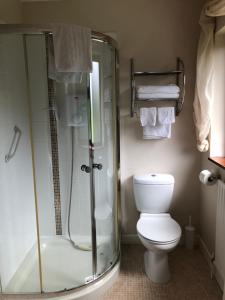 巴利香农Elm Brook B&B的一间带玻璃淋浴和卫生间的浴室