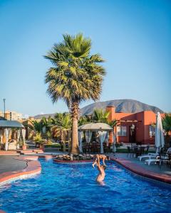拉塞雷纳Hotel Serena Suite的在棕榈树泳池游泳的人