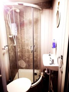 兰德林多德威尔斯pen-rhos luxury glamping "The Hare Hut"的带淋浴、卫生间和盥洗盆的浴室