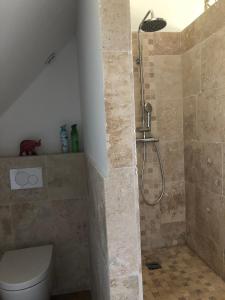 Saâne-Saint-JustCAMPAGNE ET MER的带淋浴和卫生间的浴室