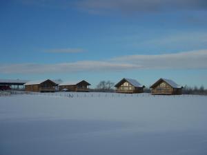 NunthorpeBlackthorn Gate的雪覆盖的田野里一排木小屋