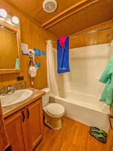 帕戈萨斯普林斯希尔林沃特斯水疗度假酒店的浴室配有卫生间、浴缸和水槽。