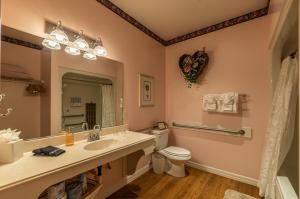 大熊湖Apples Bed and Breakfast Inn的一间带水槽、卫生间和镜子的浴室