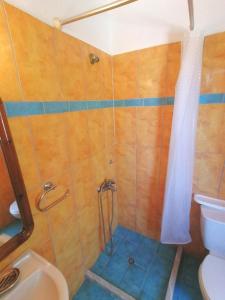 帕莱欧卡斯提撒George Michalas (Vivaria Apartments)的带淋浴、卫生间和盥洗盆的浴室