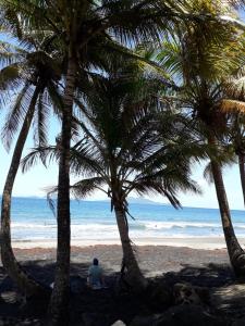 三河市Maison de la plage的坐在两棵棕榈树之间的海滩上的人