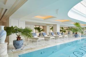 上海上海半岛酒店的一座带椅子和植物的酒店游泳池