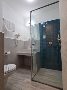 北马马亚-讷沃达里Turquoise Boutique的带淋浴、卫生间和盥洗盆的浴室