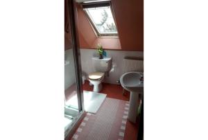 芬德霍恩Sunflower Bed & Breakfast的一间带卫生间和窗户的小浴室
