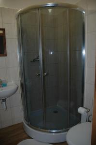 帕尔杜比采姆拉泽克酒店的浴室里设有玻璃门淋浴