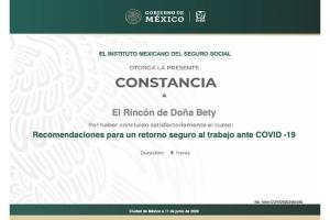 瓦哈卡市El Rincón de Doña Bety的墨西哥签证网站的屏幕